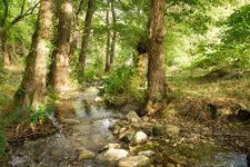 Au bord de la Rybère
